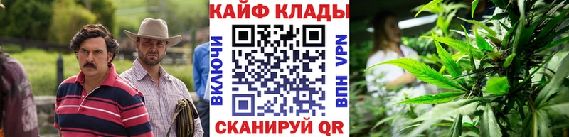 Названия наркотиков Белая Холуница Бошки Шишки Амфетамин ГАШИШ ГЕРОИН СОЛЬ