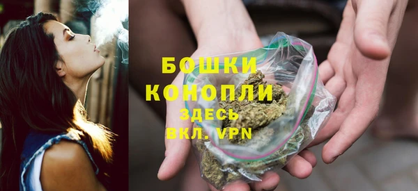 бошки Аркадак