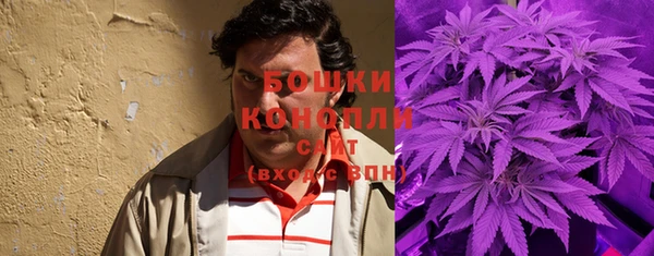бошки Аркадак