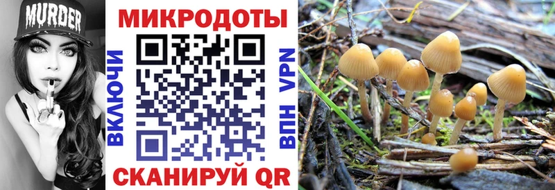 дарнет шоп  Белая Холуница  Галлюциногенные грибы прущие грибы 